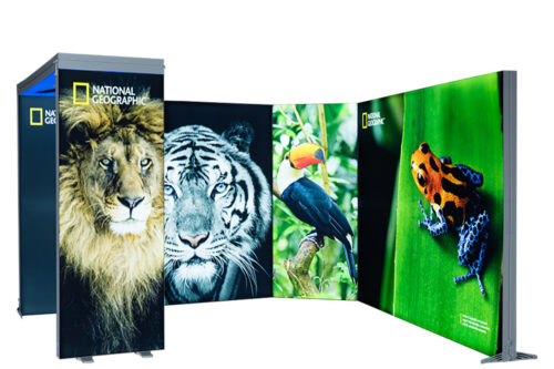 Expo Lightbox stands