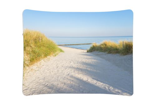 Expo-Stretchwall-Gebogen-front